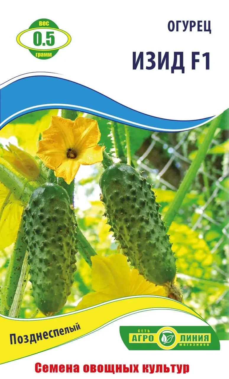Насіння огірка «Вид F1» 0.5 г,