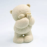 Силіконовий молд 3д Ведмедик із подарунком, фото 2