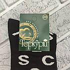 Шкарпетки чоловічі високі весна/осінь р.29 літери асорті ТЕРКУРІЙ 30037410, фото 3