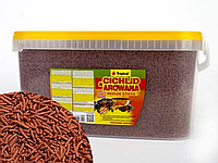 Корм Tropical Cichlid & Arowana Medium sticks 250 ml/90 г (РАЗВЕС). Корм для кормления аквариумных рыб