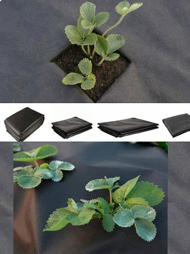 Купить Агроволокно от сорняков 1,6х10 м Черное, материал спанбонд для ...