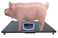 Весы для свиней 300 кг (1000x2000 мм) животных без оградки, массового взвешивание, от производителя Горизонт