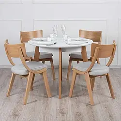 Комплект обідній стіл Марс стільці Діран