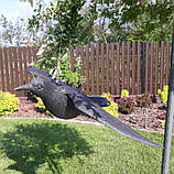 Ворон для відлякування птахів з крилами - MegaLavka, фото 2