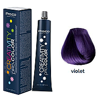 Краска для волос Pro.Color Creativity Violet 100 мл (21270Gu)