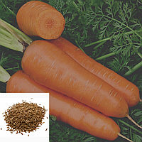 Насіння Морква Красавка на вагу 10 г Агроконтракт