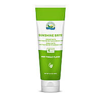 Зубная паста Саншайн Брайт, Sunshine Brite Toothpaste, вкус мяты, без фтора, Nature s Sunshine, США, 100г