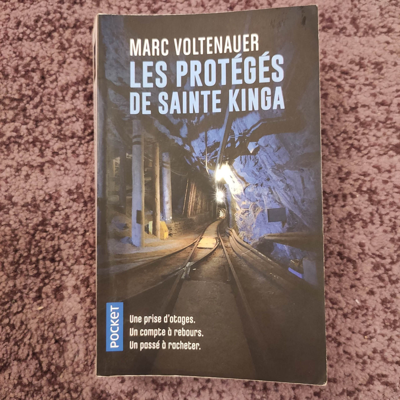 Marc Voltenauer Les protégés de Sainte Kinga (книга французькою мовою)