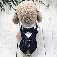 Праздничная одежда костюм для собак-мальчиков Alfa Джентельмен Черно-белый с бабочкой S