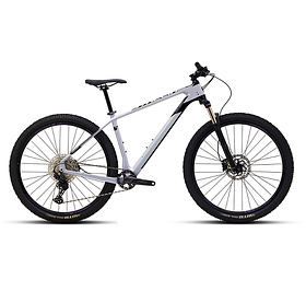 Велосипед Polygon Syncline C2 рама XL GRY TA 2023 AITPX29SC2L2G1