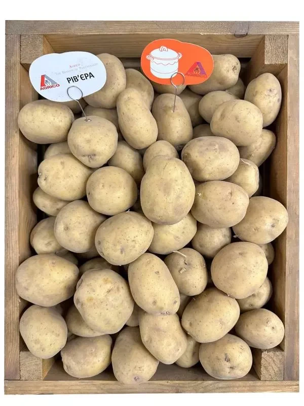 Картопля Рів'єра Agrico - 20 кг