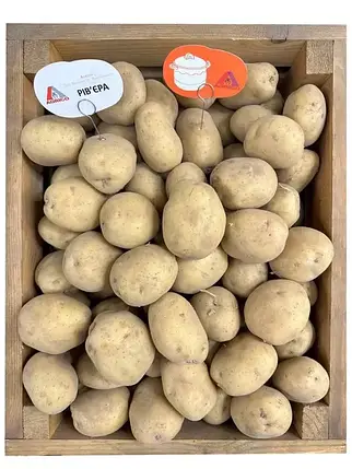 Картопля Рів'єра Agrico - 20 кг, фото 1