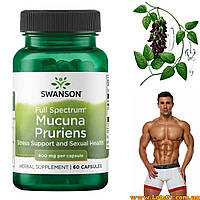 Mucuna Pruriens для підвищення тестостерону та гормону росту