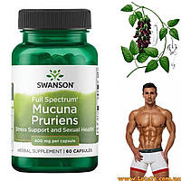 Mucuna Pruriens для підвищення тестостерону мукуна пекуча для чоловіків swanson mucuna pruriens l-dopa леводопа