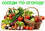 Кращі і гірші попередники і сусіди плодово-ягідних і овочевих культур