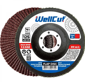 Диск пелюстковий торцевий d125мм T29 P40 WellCut NovoAbrasive