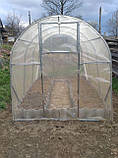Каркас теплиці "Даринка" 2х3м, труба 20х20х0,8мм, фото 4