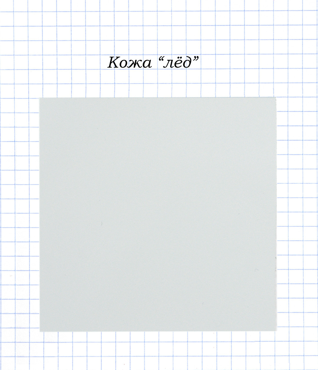 Шкіра лід, фото 1