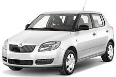 Килимки на Skoda Fabia III (2014--)