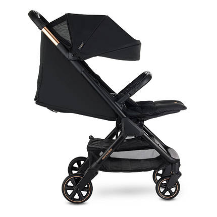 Коляска прогулянкова Easywalker Jackey Gold Edition, фото 2