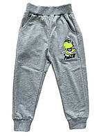 Спортивные брюки для мальчика, Венгрия, Sincere, арт. 3312, 98-128 см 98, Серый