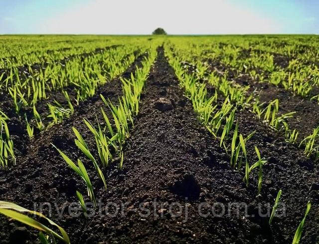 цена качественного чернозема плодородный чернозем