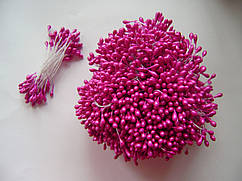 Тичинки двосторонні, маленькі фуксія