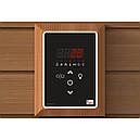 Електрокам'янка Sawo Aries ARI3-90Ni2-P + пульт Saunova 2.0, фото 3