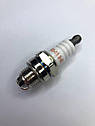 Свічка WINZOR 3-х контактна 2Т для Бензопіл Мотокос, фото 3