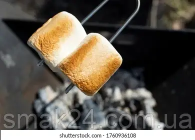marshmallow_on_stick_roas__ver_260nw_1760936108.webp