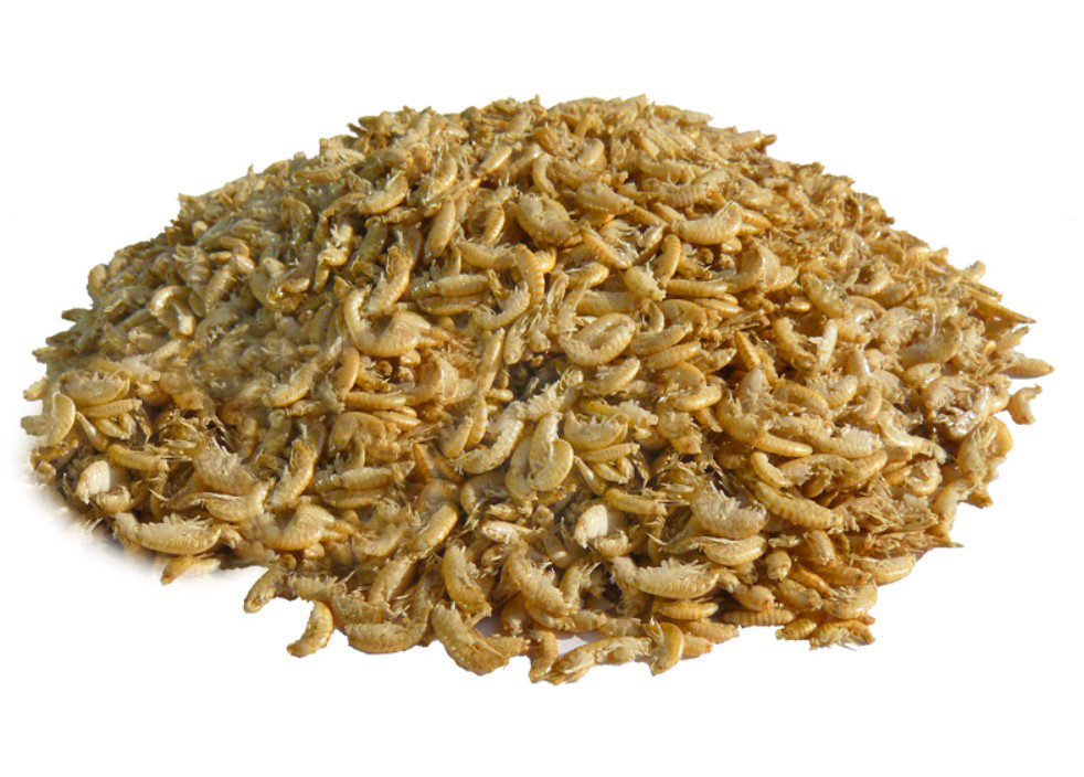 Корм AQUAXER Gammarus (гаммарус) 500 ml.