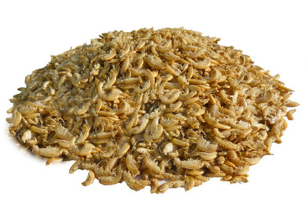 Корм AQUAXER Gammarus (гаммарус) 500 ml., фото 1