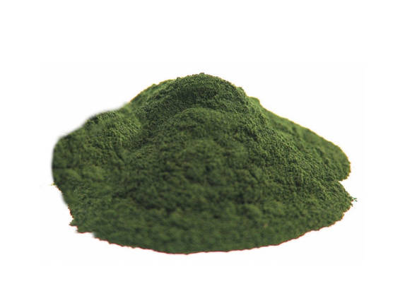 AQUAXER Spirulina (спіруліна) 10 г. Рослинний корм для риб, фото 1