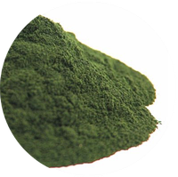 Добавка AQUAXER Chlorella (хлорелла) 50гр. Добавка водоросли хлореллы для приготовления кормов