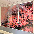 Модульна картина - Краплі на рожевому кульбабі - Макро фото - 3 частини, фото 6
