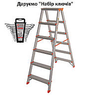 Стремянка двусторонняя алюминиевая Laddermaster Polaris A5A6. 2x6 ступенек + подарунок