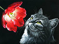Набор алмазной вышивки (мозаики) "Котик с тюльпаном"