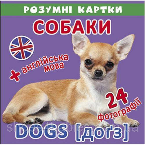 "Розумні картки. Собаки"