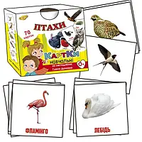 Навчальна гра Мастер Птахи MKD0018 картки Глена Домана