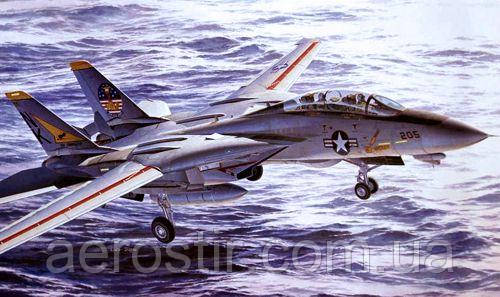 F-14A Pacific F. SQ. 1/48 Hasegawa P18
