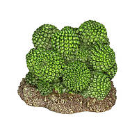 Декорація штучний кактус Hobby Cactus Atacama 7x6x5см (37018)
