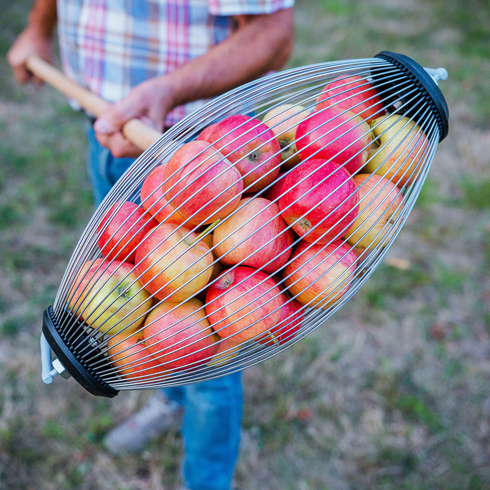 Ролл для сбора яблок, плодосборник - фото 2 - id-p1683536919
