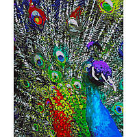 Картина по номерам Strateg Разноцветные перья павлина размером 40х50 см (GS171)