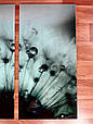 Картина модульна зі скла - Сухоцвіт блакитної кульбаби - 3 частини, фото 7