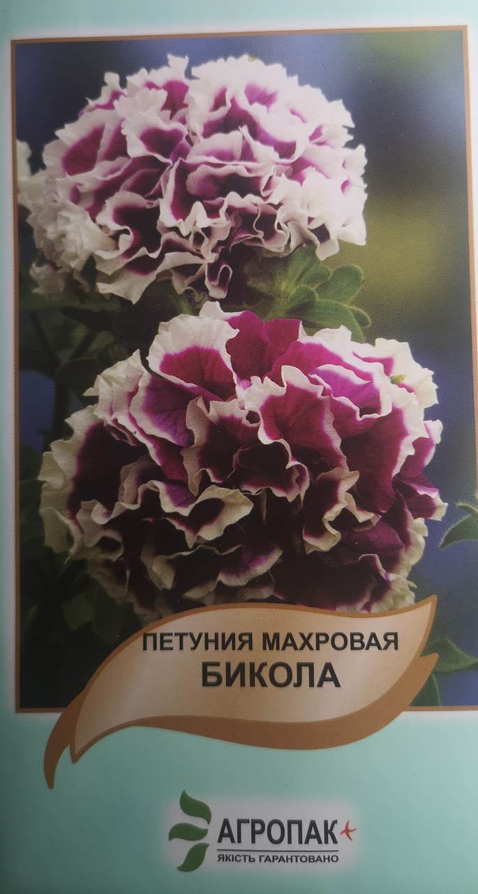 Петунія махрова Бікола 50шт