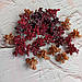 Заколки, затискачі, крабики квіточка каучукові коричневі, фото 2