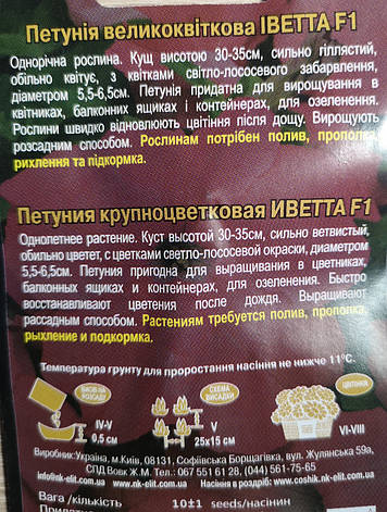 Петунія великоквіткова Іветта F1 10шт, фото 3