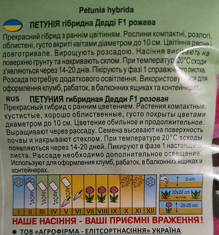 Петунія Дедді F1 рожева 10шт, фото 2