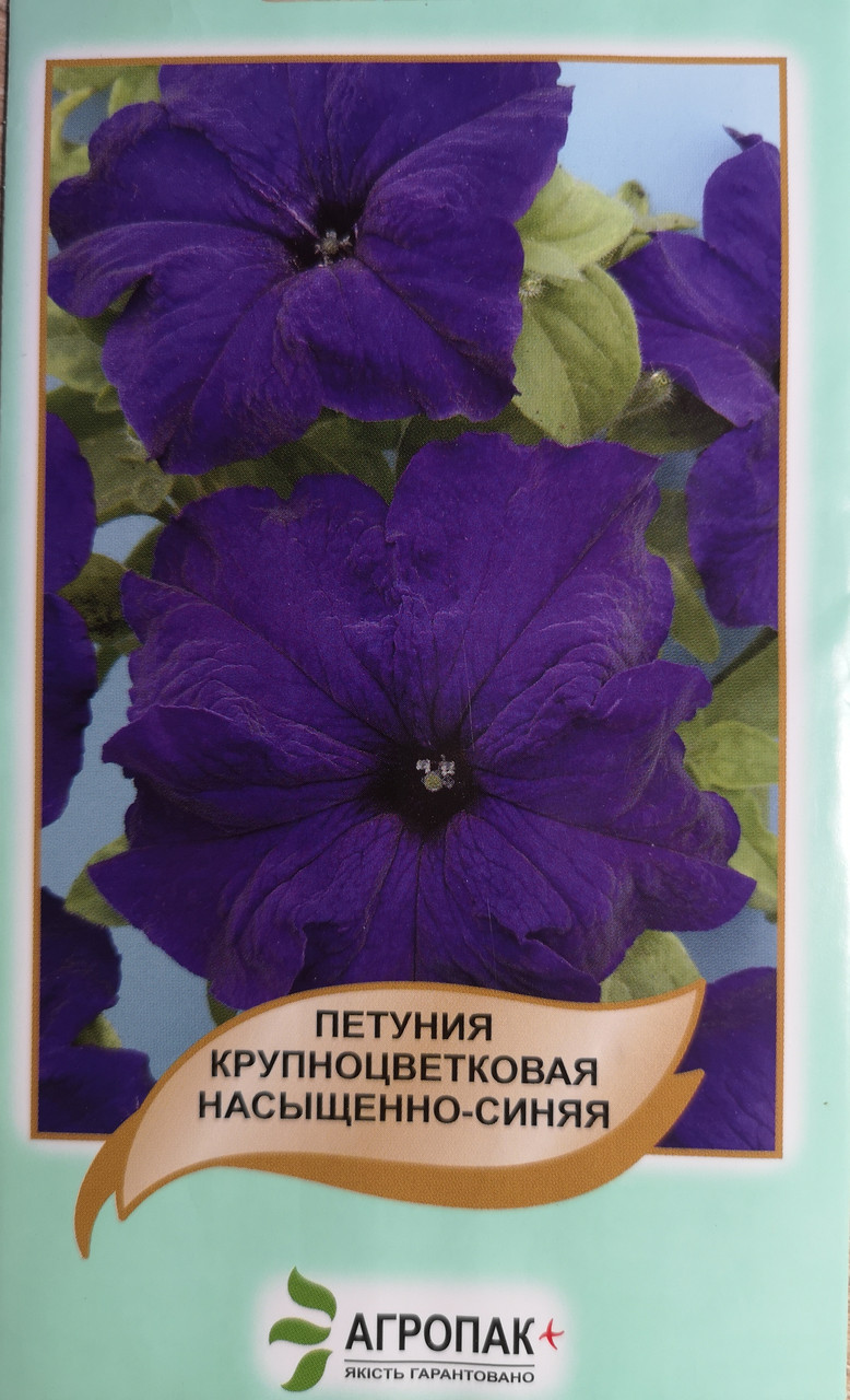 Петунія гібридна великоквіткова Насичено - Синя 50шт
