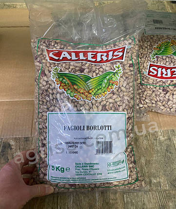 Насіння спаржевої квасолі Борлотті (Borlotti) Calleris 1кг, фото 1
